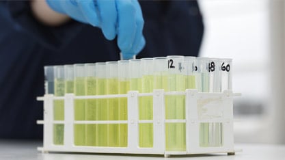 scientist picking up test tube from rack of many tubes