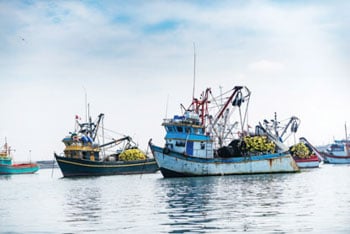 Two commercial fishing boats in the water