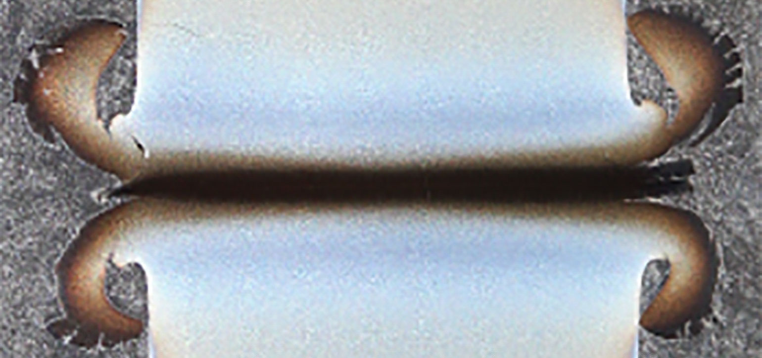 Blog wide banner
