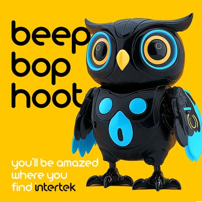Two robot owl